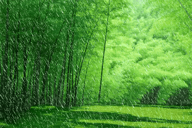 七律61春意浓春思重_王雨