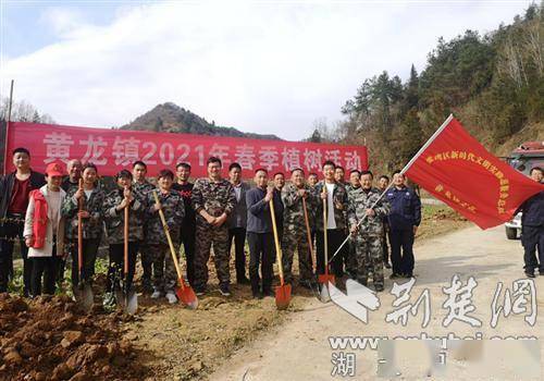 十堰市张湾区黄龙镇开展植树护绿活动