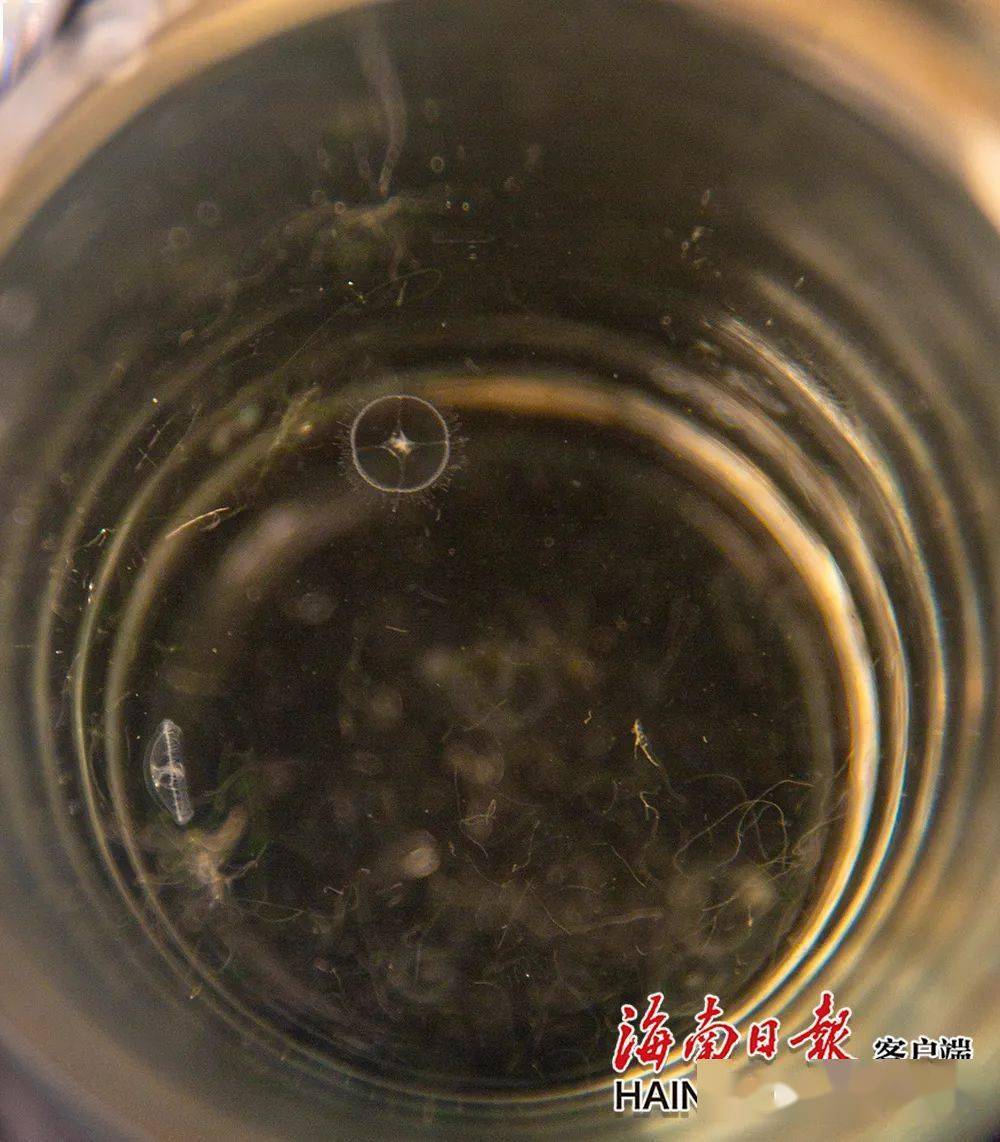 水是什么形态的物体 f1c4f6b7faac4eb8ba305b50556c0444.jpeg