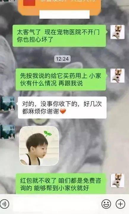狗狗被救活了，這位主治醫師卻把飯碗丟了...... 萌趣萌寵 第16张