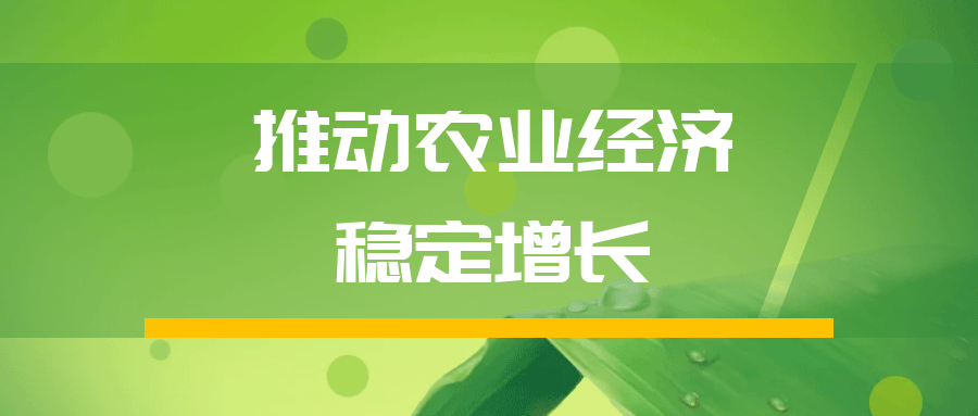 淮上区实施产业提升工程推动农业经济稳定增长