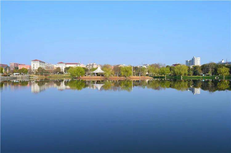 扩建后的玉龙公园里,一片生机盎然_清岸绿