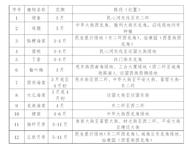 最新消息 樱杏桃李次第开 省会裕华路赏花时间及路段公布 石家庄市