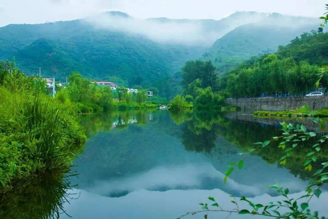 创建国家森林城市植树节种下一片翠绿共赏怀柔生态好风景