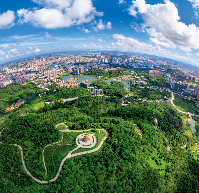 你愿意认养它吗