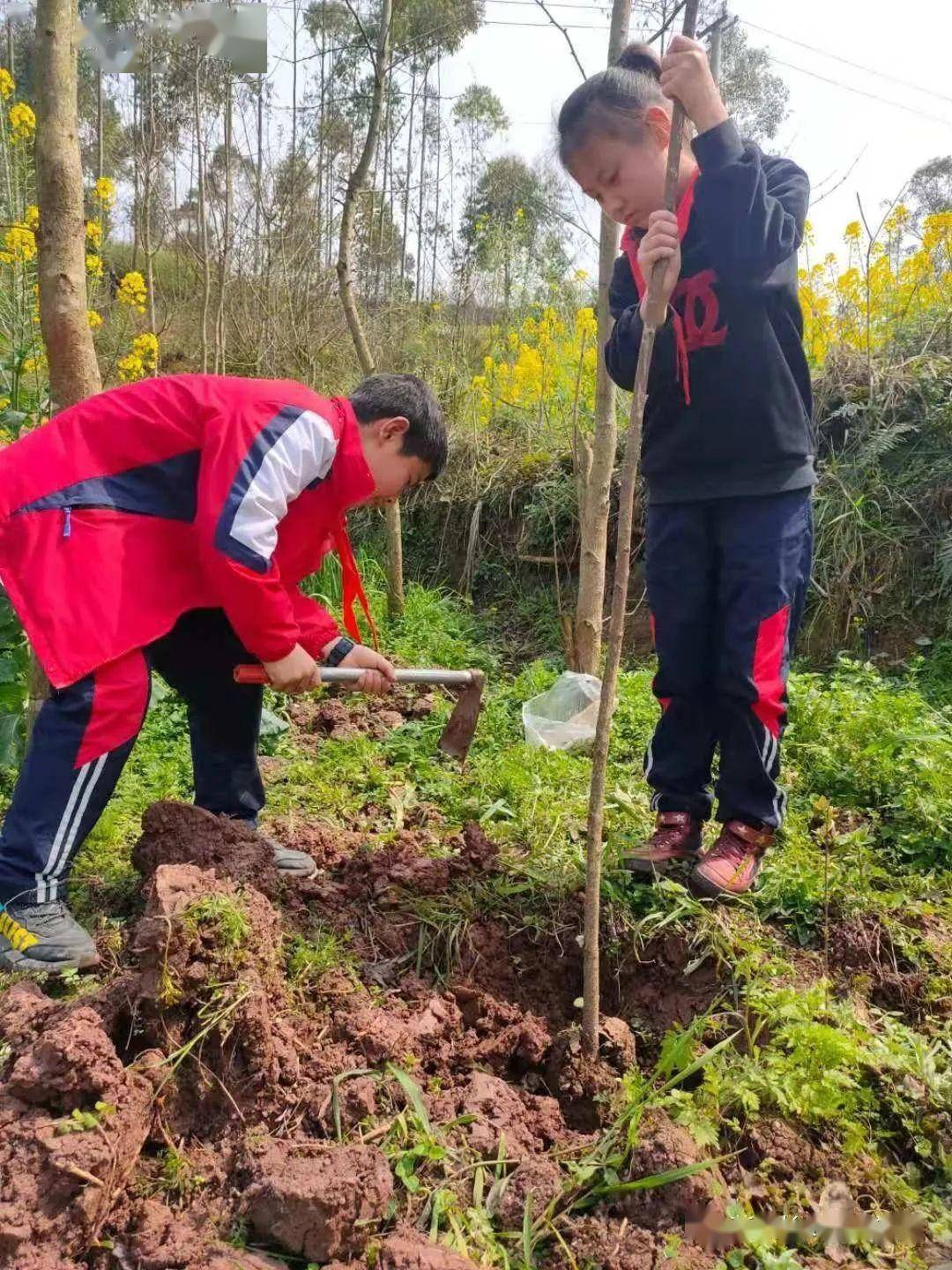 區縣學校教育動態榮縣長山鎮小學校2021年植樹節活動