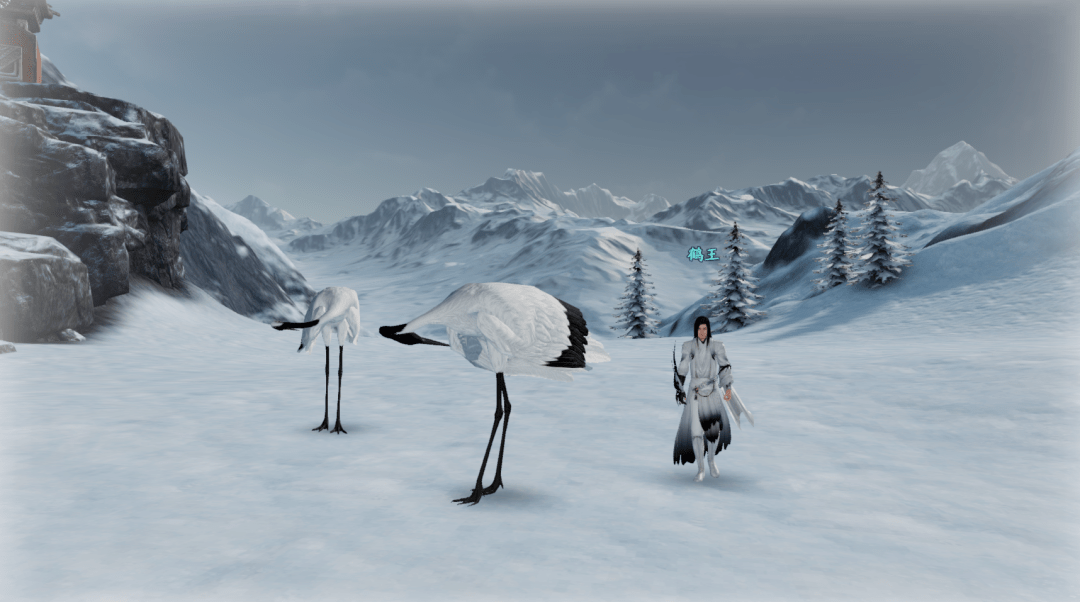 全新奇遇&好感度大揭秘_神刀