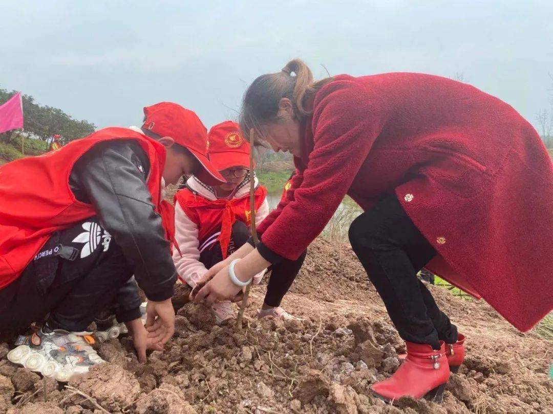 拥抱春季播种绿意丨广安区少先队员们在行动