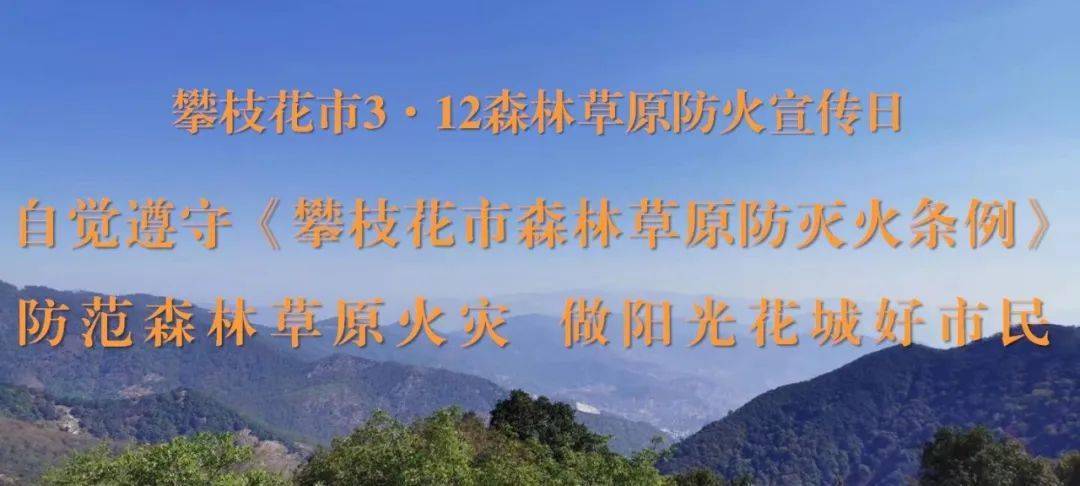 怎样才能做好森林草原防火工作 76a412d2a4a94a189770bd2a8ded731a.jpeg