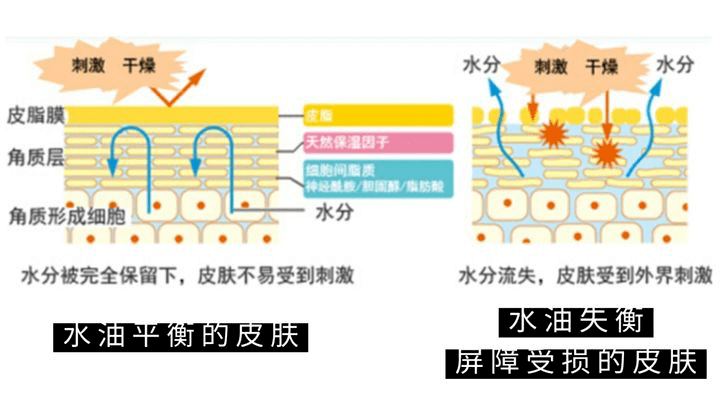 观方出品 北京协和医院 你的大招能不能一次放完 头皮