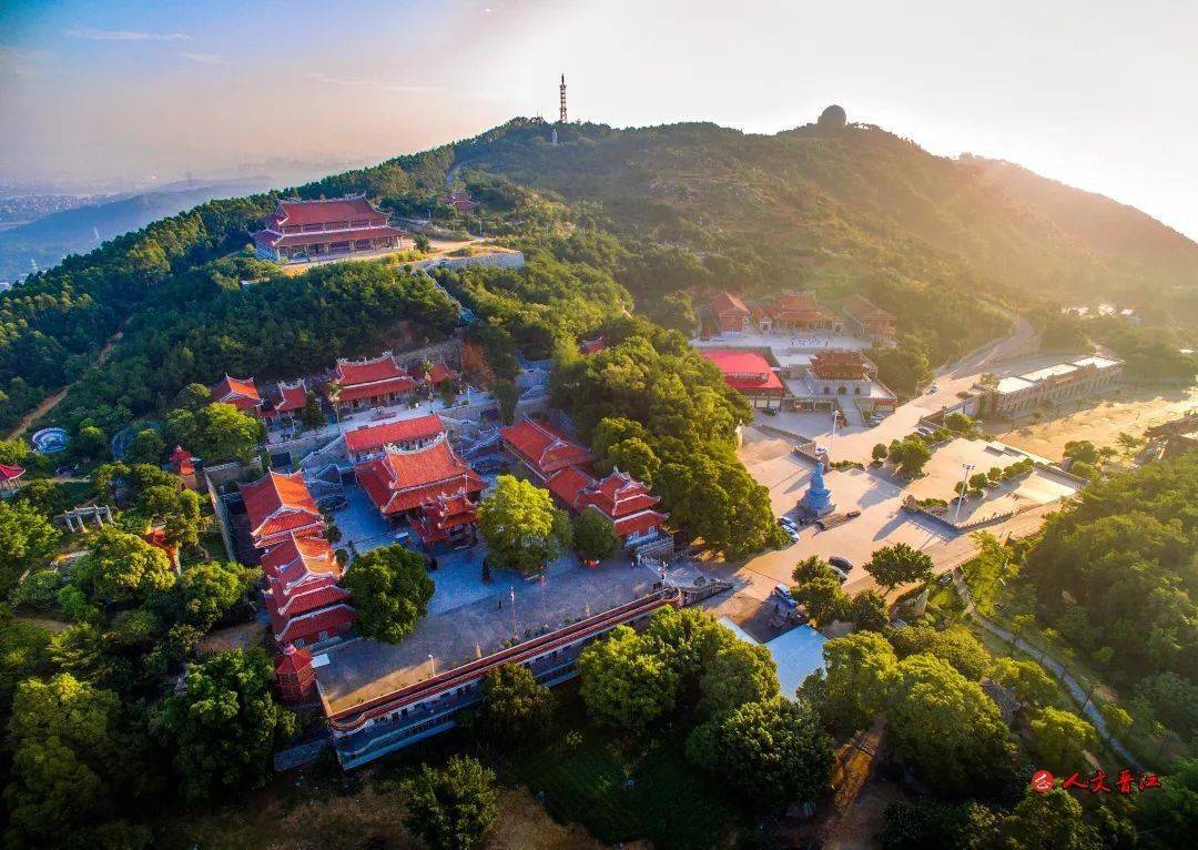 晋江树的不完全盘点