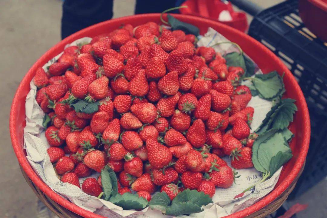 泡菜饼子 e6ad0d4d70a7420ba0709c89dd6c9503.jpeg