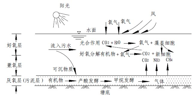 什么是雨污分流原理(3)