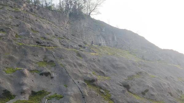 两名小姐姐爬上30米峭壁挖青苔，结果报了警！