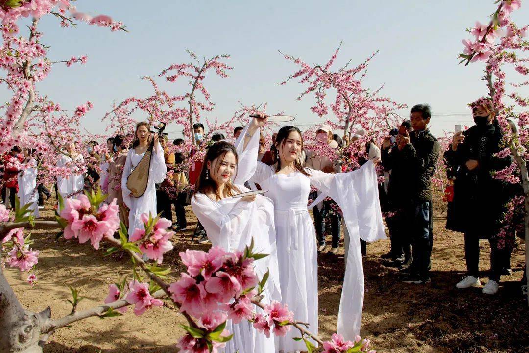收藏!叶县第四届桃花节即将开幕(附全域赏花攻略)