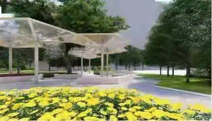 【最新消息】2021年石家庄市将提升改造4座游园