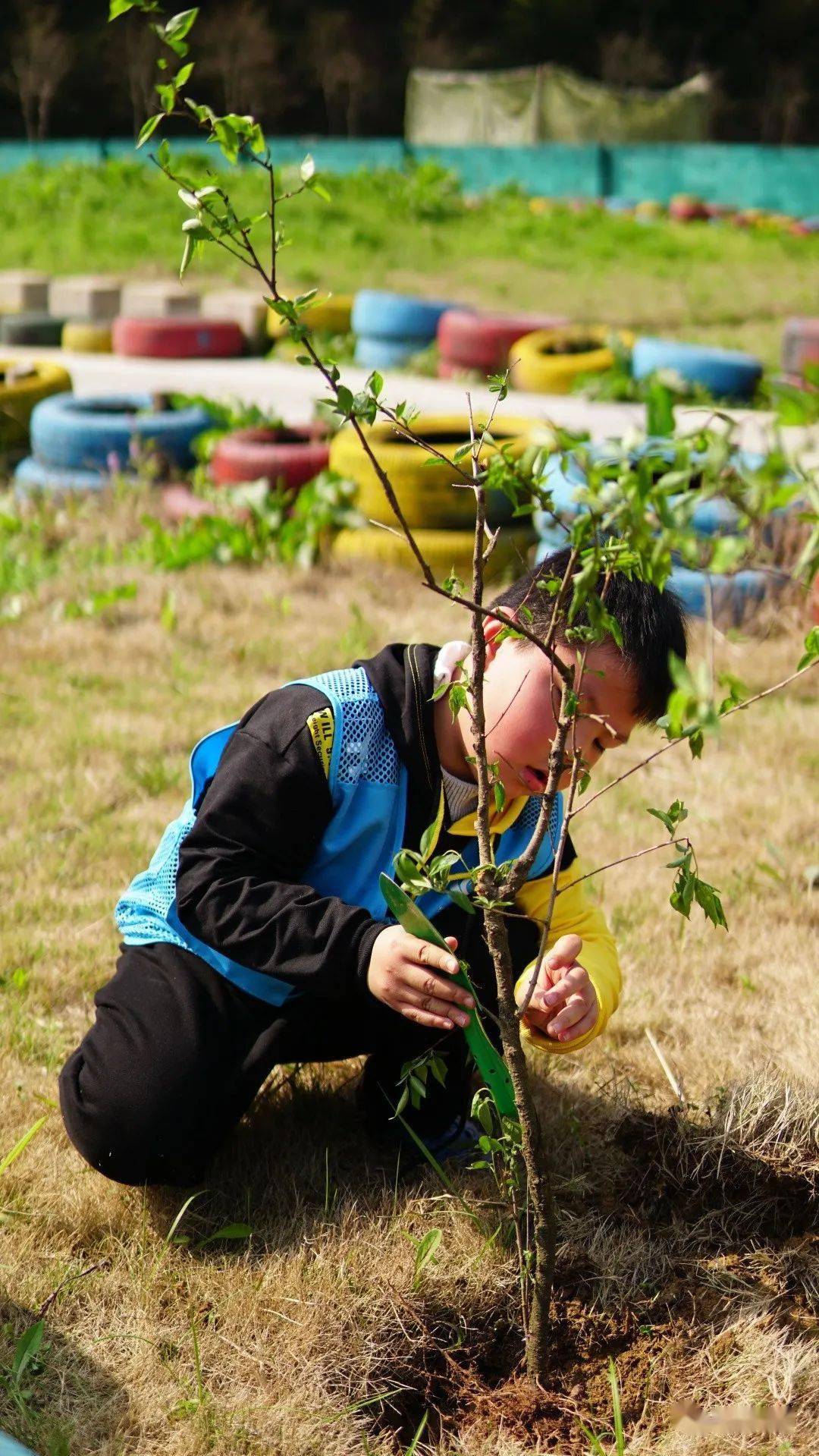 小来研学绿野仙踪大自然营带孩子走进自然健康成长