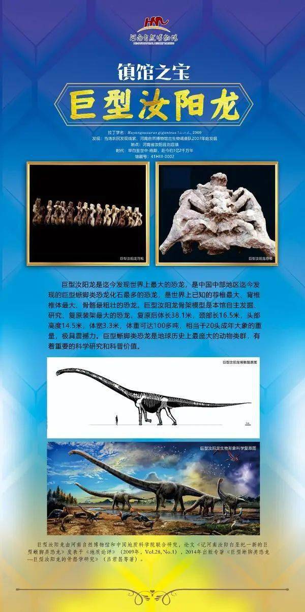 入选镇馆之宝!巨形汝阳龙,汝阳黄河巨龙