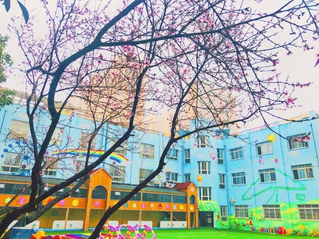 安阳高新技术产业开发区银杏小学郑州高新区艾瑞德国际学校洛阳市实验