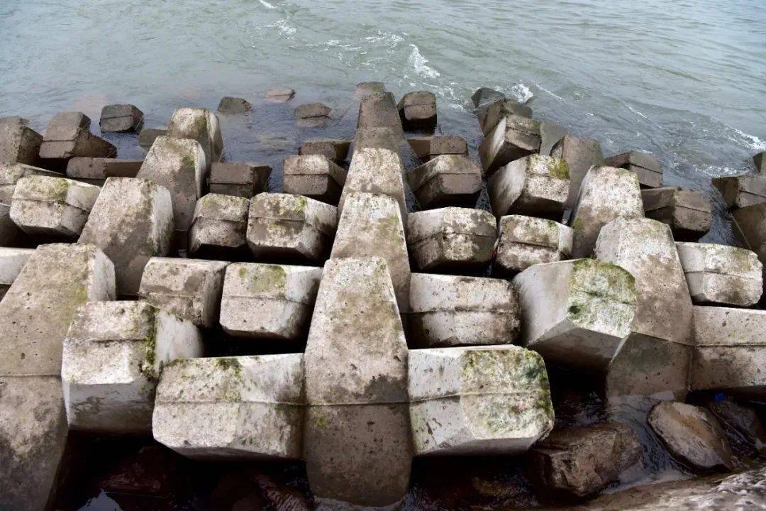 几江长江大桥下现200米路?到底是什么?_丁坝