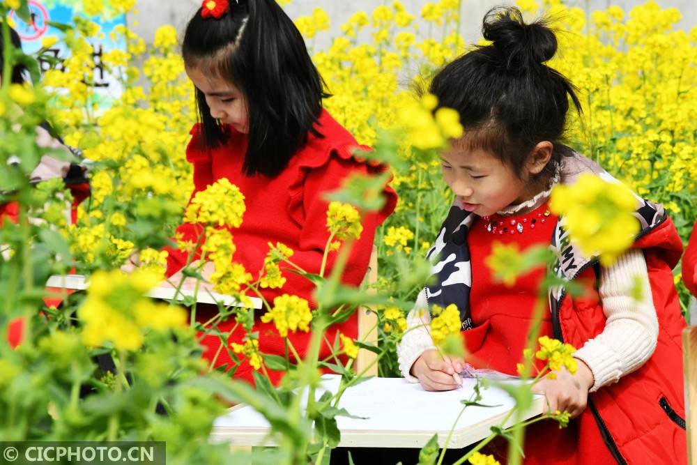 踏青写生繁花里不负春光入画来 油菜花