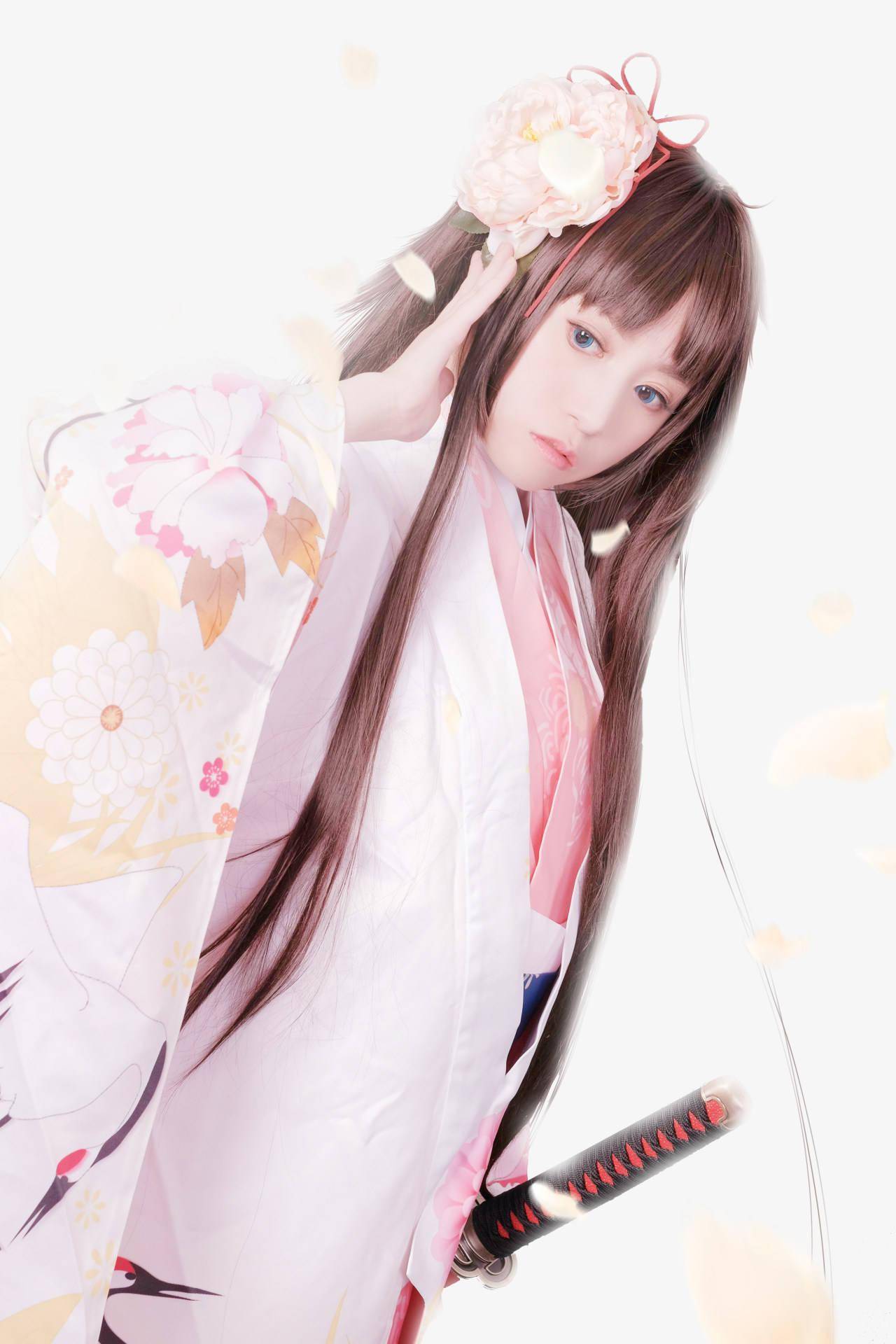 tya事务所 fate/grand order 两仪式cosplay