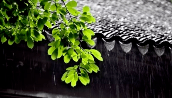 晶瑩剔透的水珠,在窗前不停滴下……聽,春雨來得正當時,雨聲好動聽