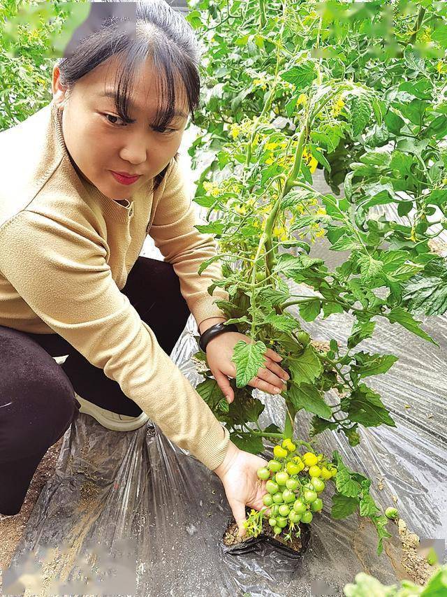 扎根土地的女博士于威:期待以科技推动乡村振兴
