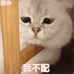 294_294gif 动态图 动图