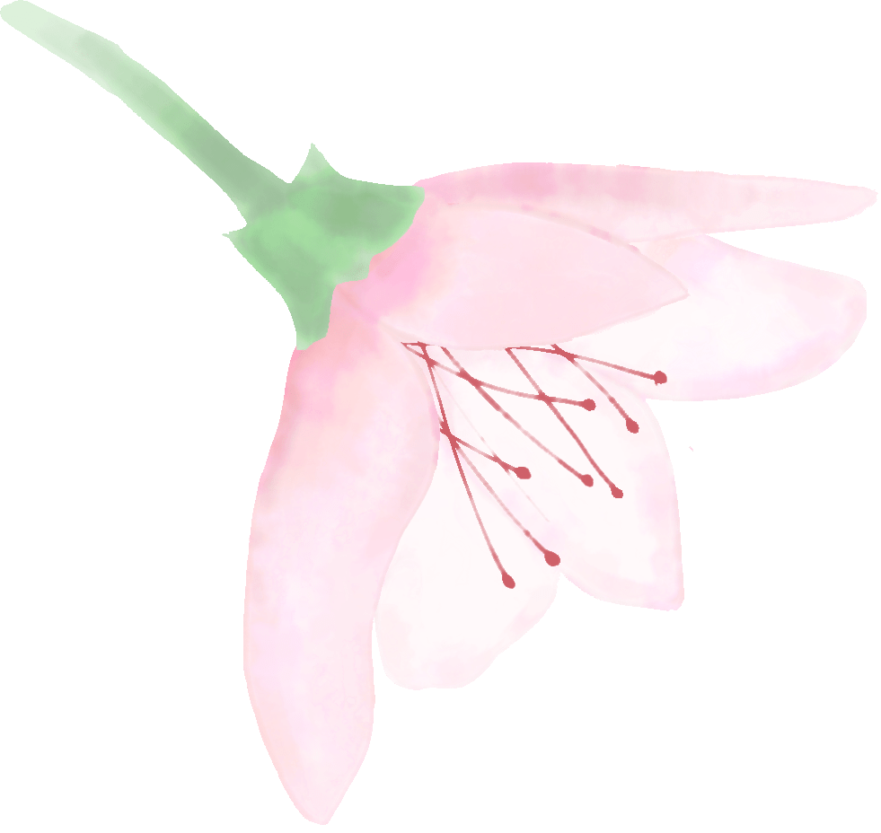 知名日本熊本男星 故乡与其同名 你猜到了是谁了吗 温泉