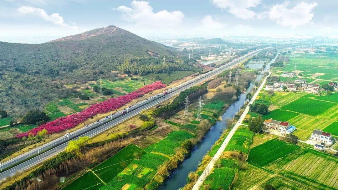 春暖花已开芳桥等您来致在外乡贤的一封信