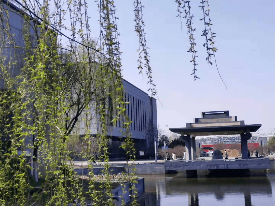 自搬迁到海军东路新校区以来,江苏省泰州中学每年对校内植物进行维护