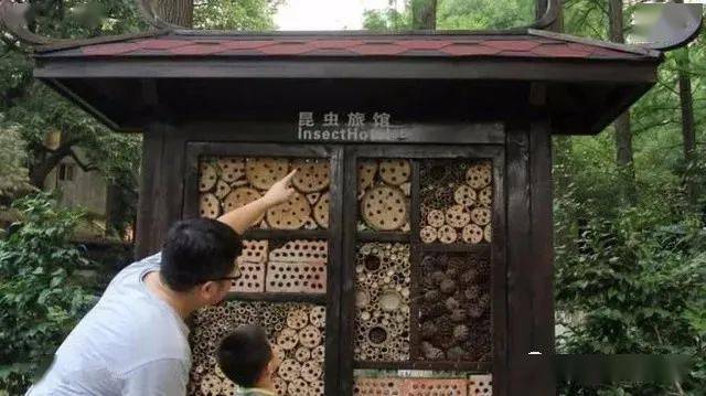 跟着这些创意学做幼儿园昆虫旅馆布置让浓缩的大自然活起来设计分享