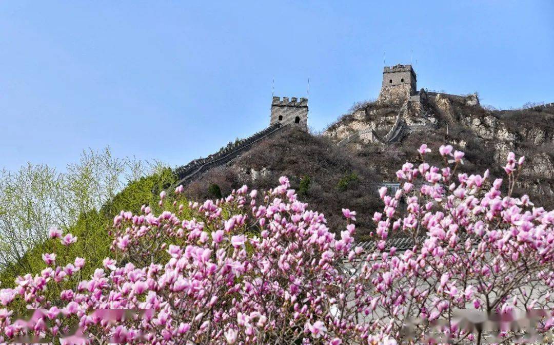 每年春天都会刷爆屏便是天下第一雄关的居庸关长城距离天龙谭风景区不