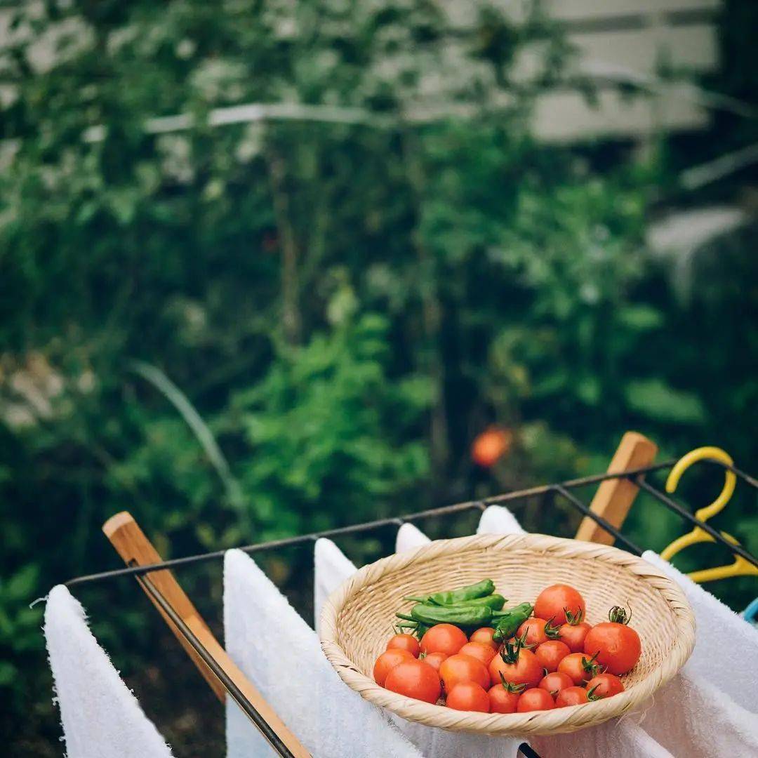 饭团小夫妻全集完整版 b358c917b3de498fbc1aa8fa4820b473.jpeg