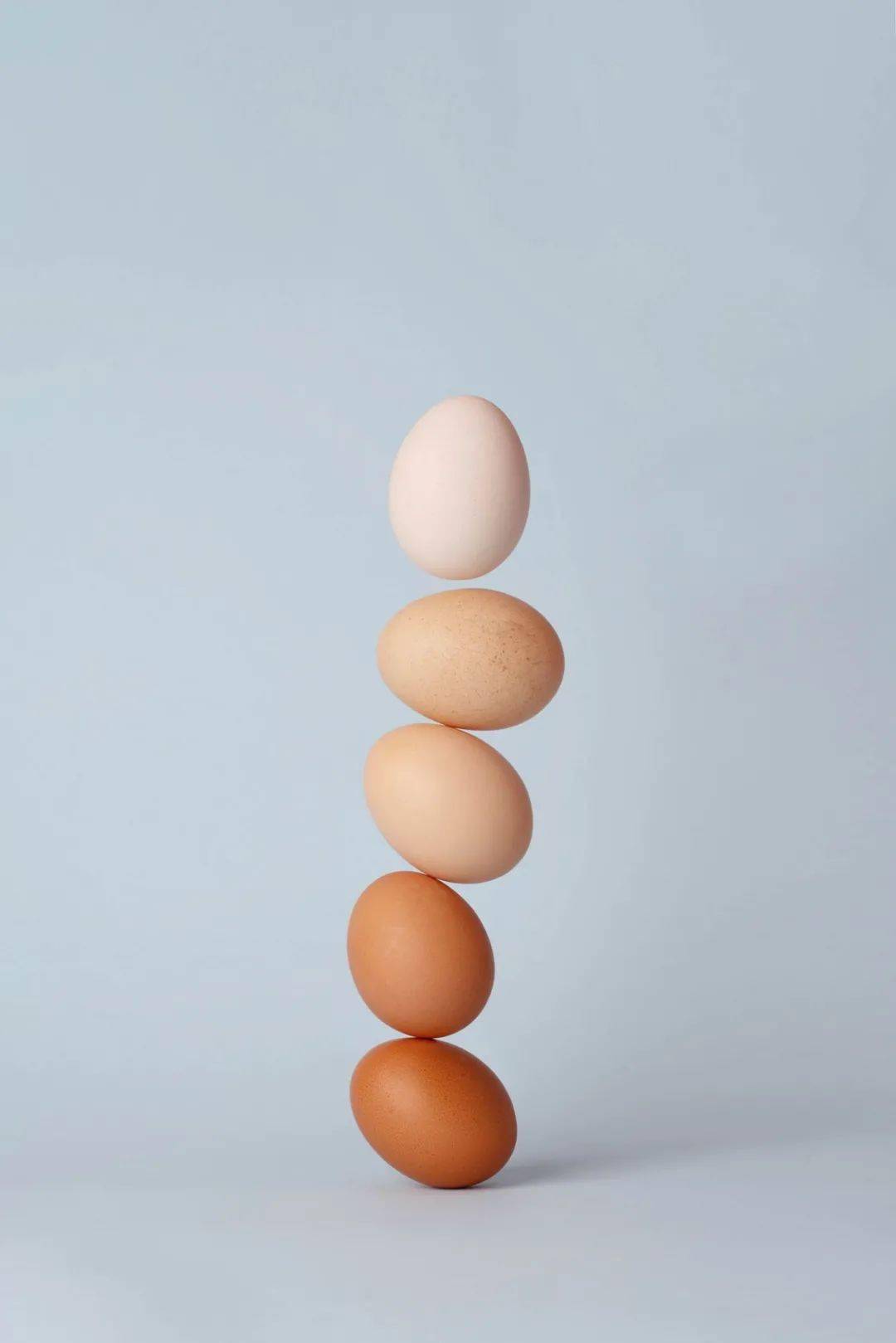 立鸡蛋erecting eggs01春分传统习俗(双语)       气温回暖,土地解冻