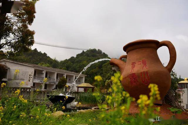 寻乌项山甑野生杜鹃:花中此物似西施_酒庄