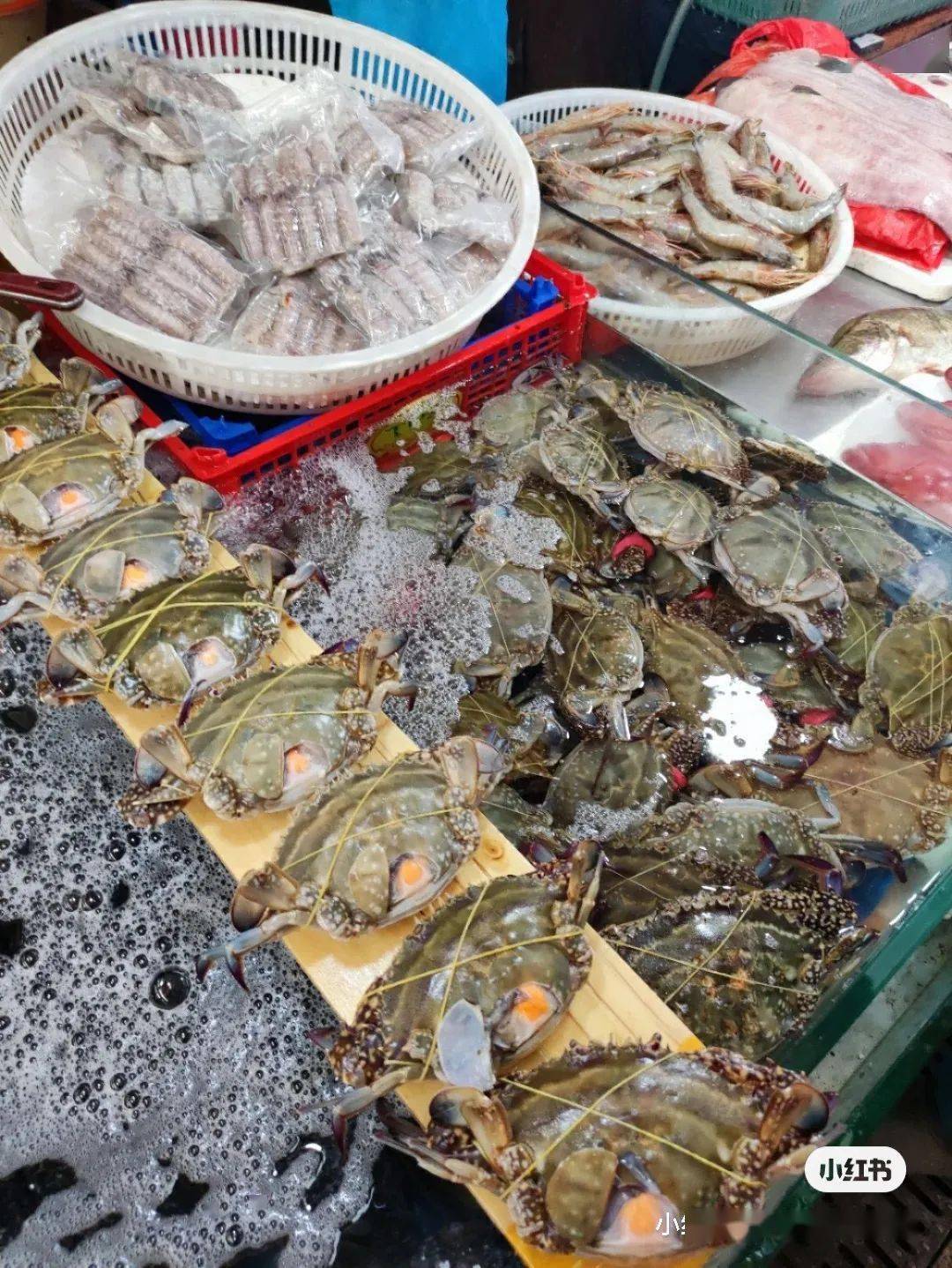 图片来源:小红书秋天的美味最数螃蟹团岛农贸市场的螃蟹最肥美,买几