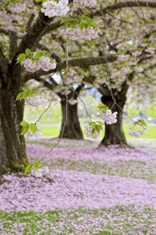 a5cd885257a74b009ad28b9755184673.png