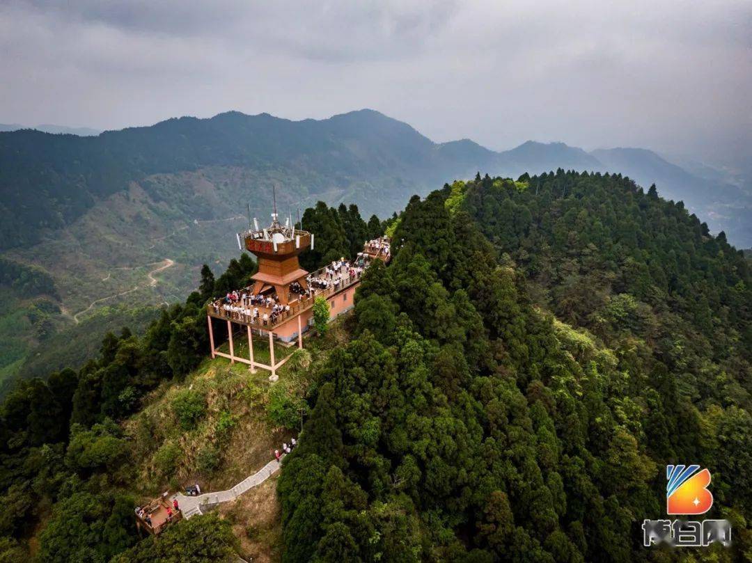 广西六万大山,博白人来了一拨又一拨,只因为今年是