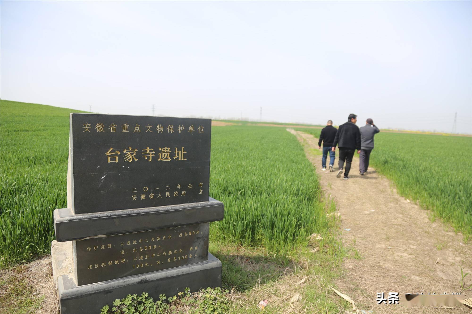 阜南台家寺遗址图片