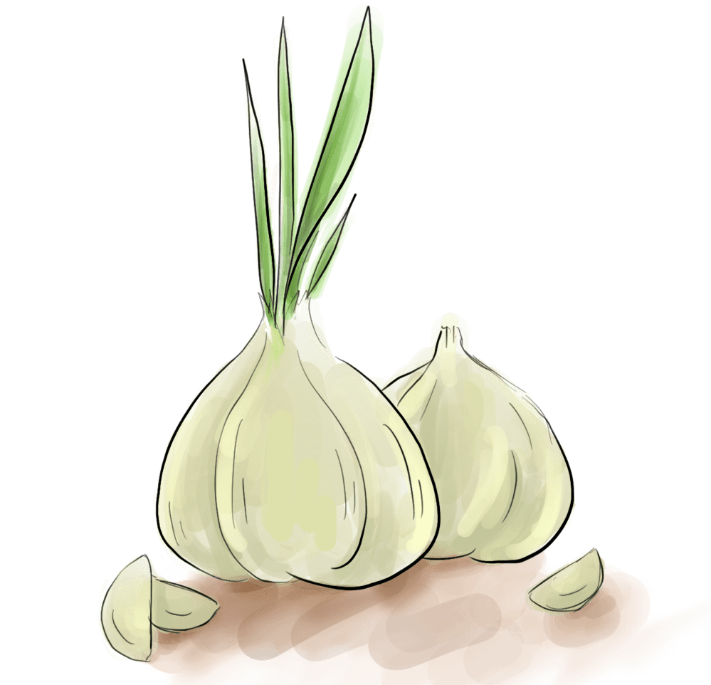 曙光科普名中医谈养生阳气是立命之本这样吃让你阳气旺身体健