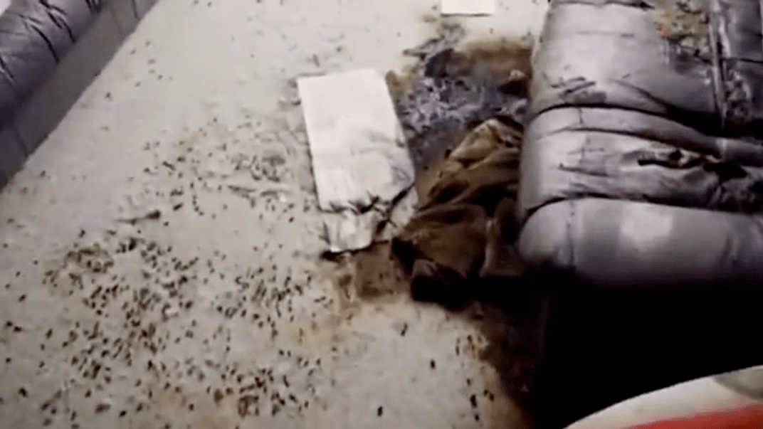 由于时间过长,尸水从遗体中流出,渗入家具,死者的头发都已经黏在了