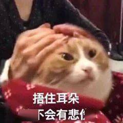 7f94623b2dd843038d4290f29a0d608e.jpeg