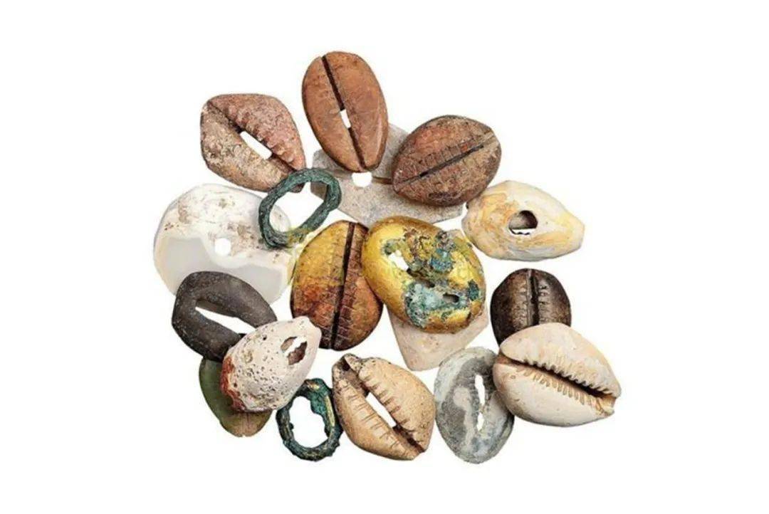 三星堆关于海贝的未解之谜