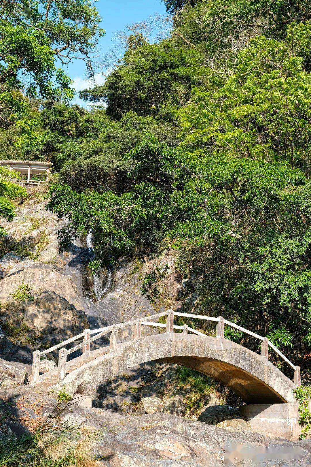 春賞五指山 | 五指山市的綠野仙蹤——太平山_瀑布