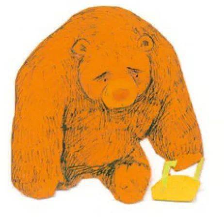 大熊的信箱:一封来自星空的信,温柔开启孩子对生命的认知