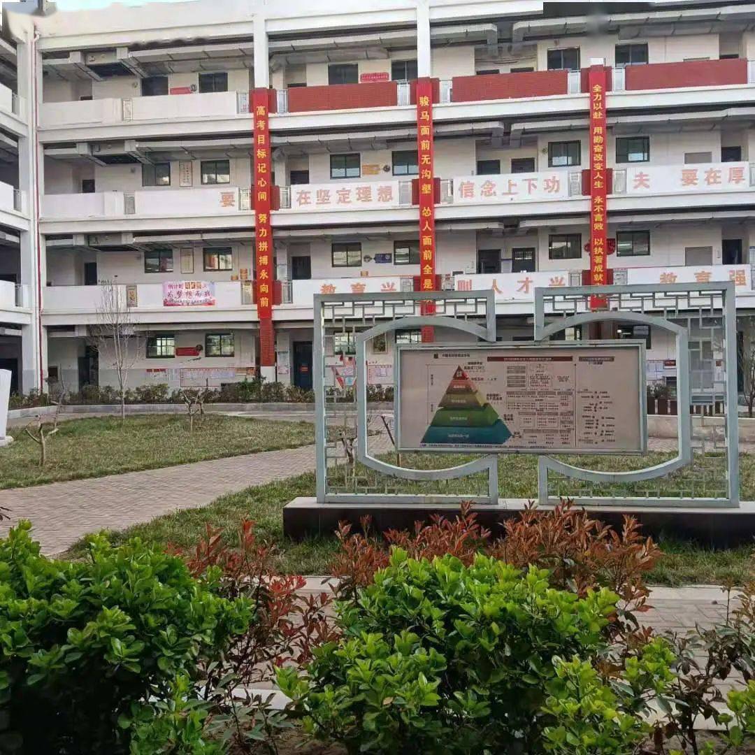 濮阳这群人出发寻"宝"啦~_南乐县