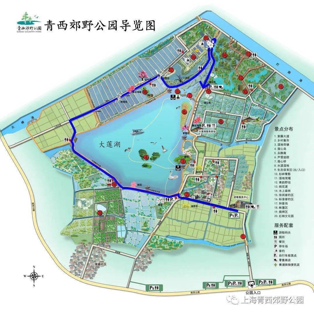 探索春游青西郊野公园两条路线体验各不同