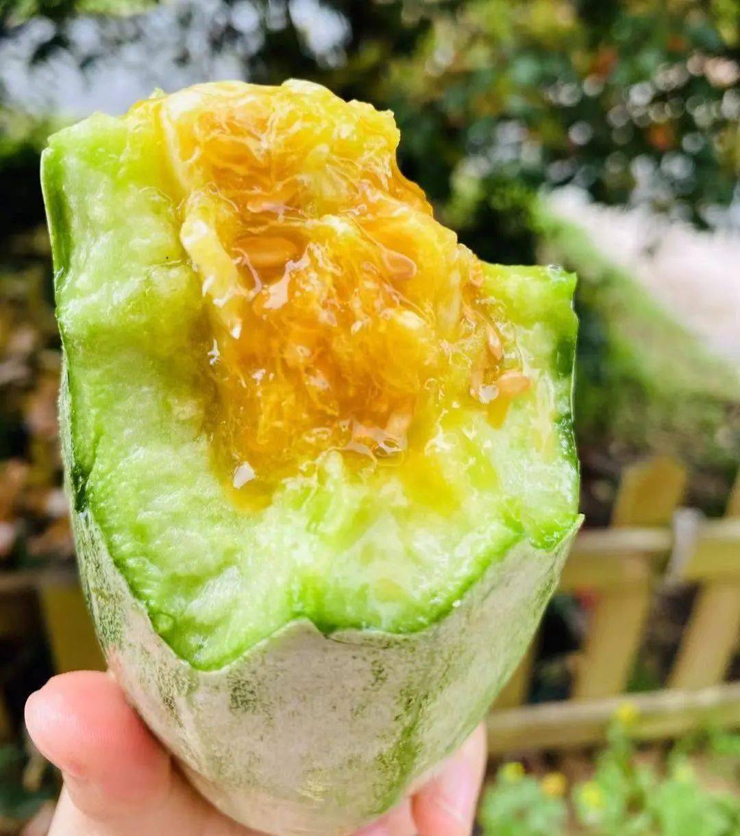 羊角蜜瓜甜蜜来袭清脆爽口汁水丰盈外脆里嫩山东羊角蜜瓜限时尝鲜